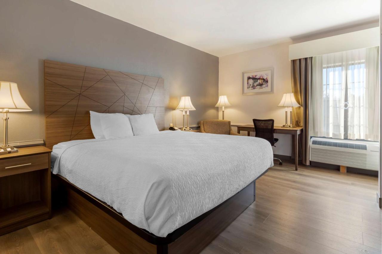 Western Hotel 3*